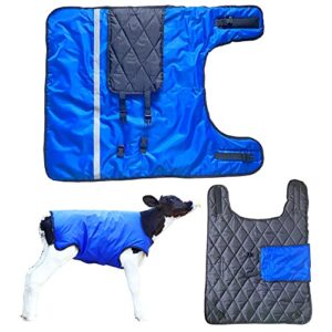 calf blanket horse blanket thickened warm calf clothing windproof waterproof calf warm artifact calf cold clothing calf keep warm clothing horse blanket for cattle(blue 1 pack)