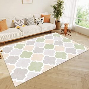 Eroyat Moroccan Area Rug 5'x7',Machine Washable, Non-Slip and Stain Resistant Indoor Carpet,Suitable for Bedroom Living Room Flat Kitchen