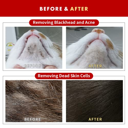 JAYU PET Black Seed Brush - Cat Acne Chin Treatment, Cat Acne Brush, Silicone Brush for Cats Chin Acne & Blackhead Exfoliation, Double-sided Cat Grooming Brush (1PCS)