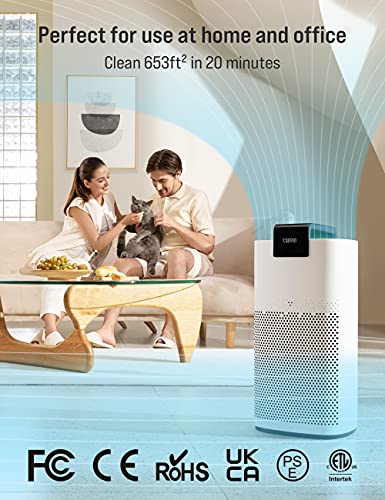 TOPPIN Filter Replacement TPAP005 AP005 TP-AP005 Air Purifier H13 True HEPA Air Filter to Clean Pets Hair Smoke Odors Dust Pollen Home and Room 2000 sq ft