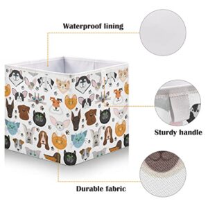 CaTaKu Pets Dog Cat Paws Cube Storage Bins for Organization, Rectangular Fabric Storage Cubes Storage Bins for Cube Organizer Foldable Storage Baskets for Shelves Living Room