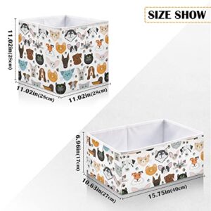 CaTaKu Pets Dog Cat Paws Cube Storage Bins for Organization, Rectangular Fabric Storage Cubes Storage Bins for Cube Organizer Foldable Storage Baskets for Shelves Living Room