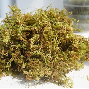 Yilotuce 7 oz Natural Orchid Moss for Potted Plants, Nice Soilless Potting Soil for Seedling and Cutting, Good Idea for Reptile Terrarium, Crafts, Garden Decoration