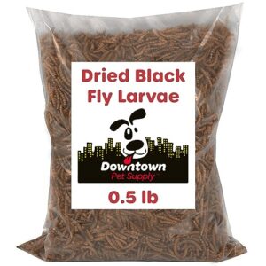 downtown pet supply 1/2 lb black soldier fly larvae for wild birds, poultry, reptiles, and small mammals rich in vitamin b12, b5, protein, fiber, omega 3 fatty acids - great as mealworms for chicken