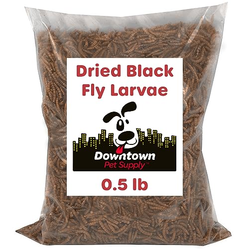 Downtown Pet Supply 1/2 LB Black Soldier Fly Larvae for Wild Birds, Poultry, Reptiles, and Small Mammals Rich in Vitamin B12, B5, Protein, Fiber, Omega 3 Fatty Acids - Great as Mealworms for Chicken