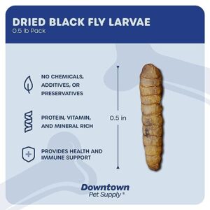 Downtown Pet Supply 1/2 LB Black Soldier Fly Larvae for Wild Birds, Poultry, Reptiles, and Small Mammals Rich in Vitamin B12, B5, Protein, Fiber, Omega 3 Fatty Acids - Great as Mealworms for Chicken