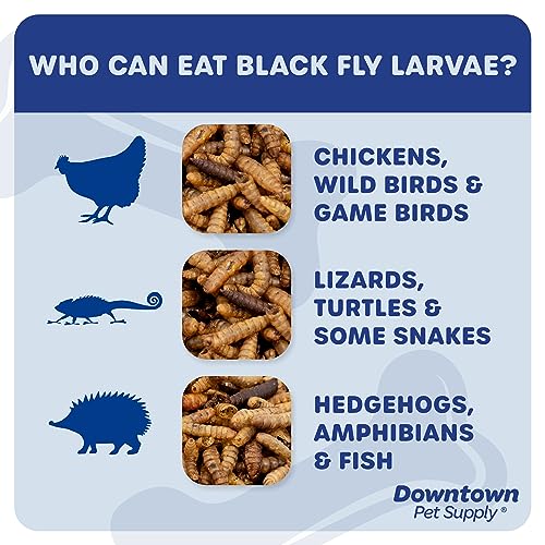 Downtown Pet Supply 1/2 LB Black Soldier Fly Larvae for Wild Birds, Poultry, Reptiles, and Small Mammals Rich in Vitamin B12, B5, Protein, Fiber, Omega 3 Fatty Acids - Great as Mealworms for Chicken