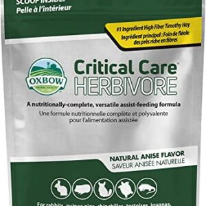 Oxbow (2 Pack) Critical Care Small Animal Supplement Assist Feeding Anise 141g