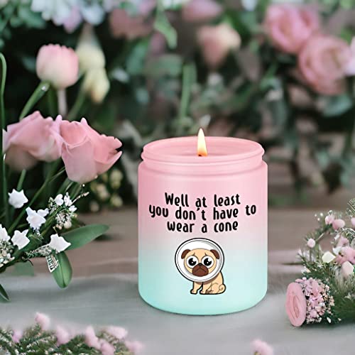 Miracu Scented Candles - Funny Get Well Soon Gifts for Women, Men - Post Surgery Recovery, After Surgery Gifts for English Bulldog Lover, Friends, Him, Her - Cute Comfort Gifts for Patients, Dog Mom