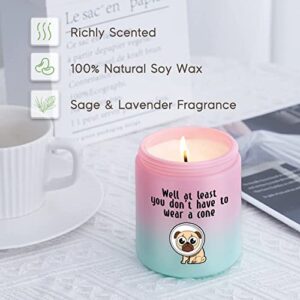 Miracu Scented Candles - Funny Get Well Soon Gifts for Women, Men - Post Surgery Recovery, After Surgery Gifts for English Bulldog Lover, Friends, Him, Her - Cute Comfort Gifts for Patients, Dog Mom