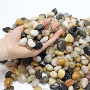 LINGLUOX Pebbles Polished Gravel,Natural River Rock Stones Polished Mixed Color Stones for Plant,Aquariums,Landscaping,Vase Fillers 6LBS