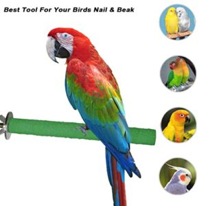 10 Pack Bird Perch, Bird Stand Set Bird Cage Accessories Natural Wood Toy Perch Parrot Toys Natural Branch Standing Stick for Budgies Love Birds Finches Small and Medium-Sized Bird Toys