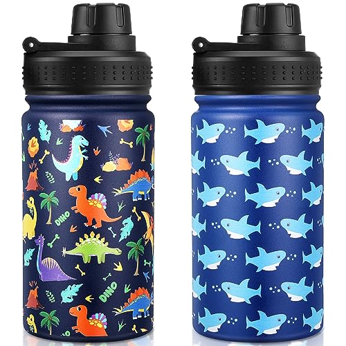 2 Pieces Modern Kids Water Bottle with Wide Handle, 14 oz Stainless Steel Insulated Wide Flask with Leakproof Lid, Keep Hot or Cold Cute Metal Water Bottle for School Boys Girls (Shark, Dinosaur)