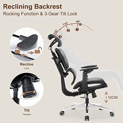Office Chair Ergonomic Desk Chair - Curved Cushion Big and Tall Mesh Highback Computer Chair Adjustable Lumbar Support, Tilt Function and Headrest Home Office Desk Chairs, Swivel Executive Task Chair