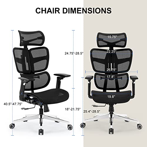 Office Chair Ergonomic Desk Chair - Curved Cushion Big and Tall Mesh Highback Computer Chair Adjustable Lumbar Support, Tilt Function and Headrest Home Office Desk Chairs, Swivel Executive Task Chair