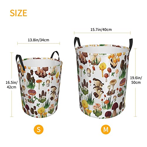 Laundry Basket,Pattern With Types Of Mushrooms Wild Species Organic Natural Food Garden Theme,Large Canvas Fabric Lightweight Storage Basket/Toy Organizer/Dirty Clothes Collapsible Waterproof For College Dorms-Large