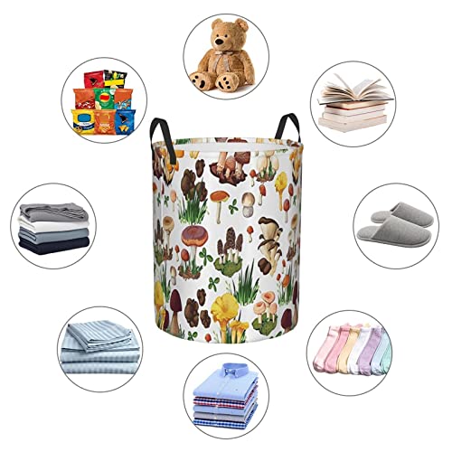 Laundry Basket,Pattern With Types Of Mushrooms Wild Species Organic Natural Food Garden Theme,Large Canvas Fabric Lightweight Storage Basket/Toy Organizer/Dirty Clothes Collapsible Waterproof For College Dorms-Large