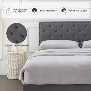 GAZHOME Twin XL Velvet Bed Frame, Upholstered Platform Bed with Adjustable Tufted Headboard, Rivet Ornament, Wood Slat Support, No Box Spring Needed, Easy Assembly, Grey