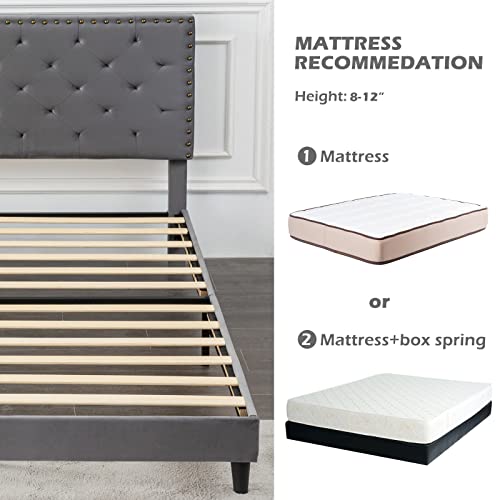 GAZHOME Twin XL Velvet Bed Frame, Upholstered Platform Bed with Adjustable Tufted Headboard, Rivet Ornament, Wood Slat Support, No Box Spring Needed, Easy Assembly, Grey