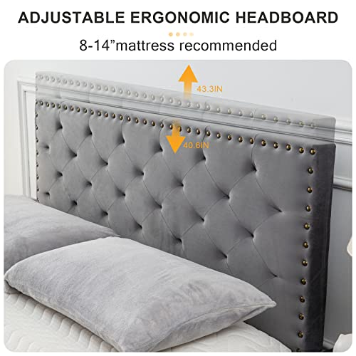 GAZHOME Twin XL Velvet Bed Frame, Upholstered Platform Bed with Adjustable Tufted Headboard, Rivet Ornament, Wood Slat Support, No Box Spring Needed, Easy Assembly, Grey
