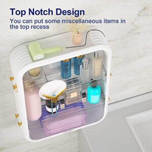 Hokyzam Bathroom Shelves Bathroom Cabinet Wall Mounted, Wall Floating Shelves Organizer Transparent Multi-Function Floating Rack for Bathroom Bedroom Living Room Halloween Decorations Shelf