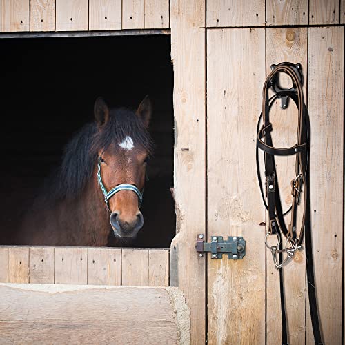 Y.J TAILS Horse Bridle Rack Bridle Bracket Halter Hooks Metal Bridle Holder Horse Tack Organizer Wall Mount with Tubes and Screws for Horse barn Supplies (Black - 2pcs)