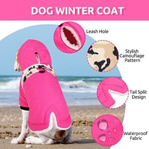 Queenmore Warm Dog Winter Coat, Cold Weather Waterproof Dog Snow Jacket, Reflective Dog Hoodie with Long Sleeves for Small Medium and Large Dogs