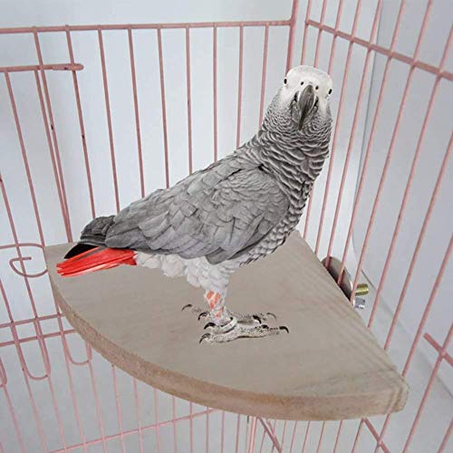 Litewoo Bird Perching Platform and Parrot Corner Perch XL