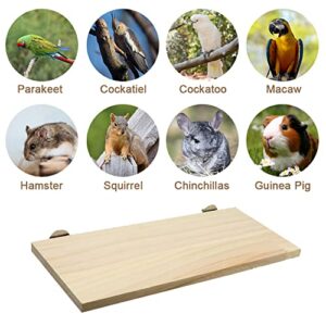 Litewoo Bird Perching Platform and Parrot Corner Perch XL