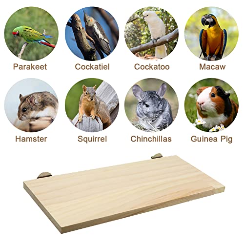 Litewoo Bird Perching Platform and Small Animal Square Platform