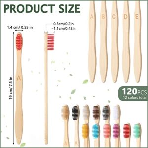120 Pcs Bamboo Toothbrushes Bulk Soft Bristle Toothbrush Wooden Disposable Travel Toothbrush Bamboo Charcoal Individually Wrapped Toothbrush for Kid Adult Home Travel Use, 7.5 Inch, 12 Colors (Letter)