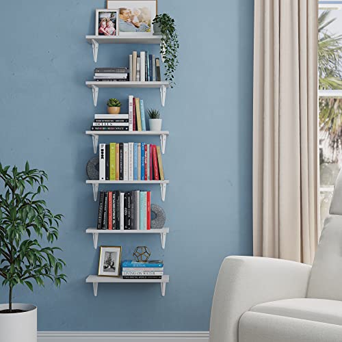 Wallniture Arras 17"x6" Floating Shelves for Storage, Wall Bookshelf Living Room Decor, Wall Shelves for Kitchen, Bathroom Floating Shelf, Dining Room Storage Shelves, Set of 6, White, Wood