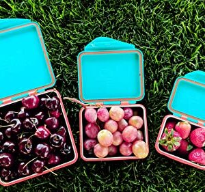 Kid Basix by New Wave Safe Snacker 3 Size Bundle Reusable Stainless Steel Lunchboxes Includes 23oz, 13oz and 7oz Reusable, Teal