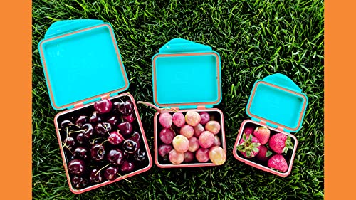 Kid Basix by New Wave Safe Snacker 3 Size Bundle Reusable Stainless Steel Lunchboxes Includes 23oz, 13oz and 7oz Reusable, Teal