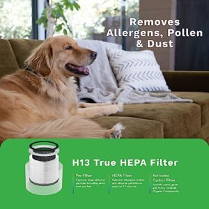 DH Lifelabs | Sciaire + HEPA Air Purifier | Ions Actively Clean & Deodorize Air | Eliminates 99.97% of Bacteria & Viruses | H13 HEPA Purifier Filter for Allergies Pets | Large Room Home | White