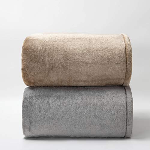 allecalm Fleece Blanket Queen Size, One Layer of 500GSM Plush Extra Warm Heavy Thick Soft Warm Cozy Fuzzy Luxury for All Season for Dorm Room, Bed, Sofa, Couch, Gift, 90x90 inch, Grey