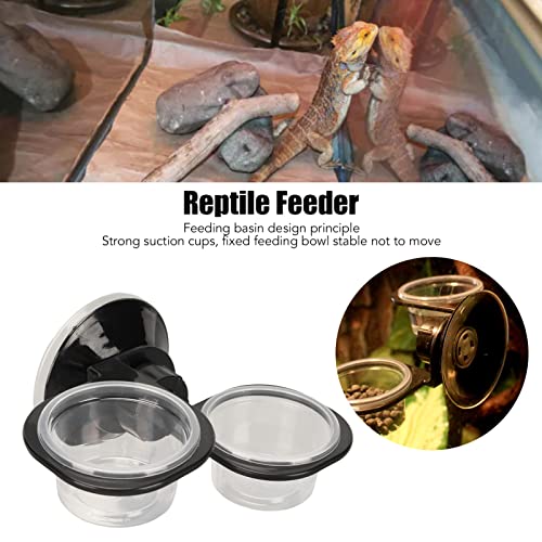 Reptile Food Water Feeding Bowl Crested Gecko Feeding Ledge Reptile Food and Water Cups for Small Pets (Double Bowl)