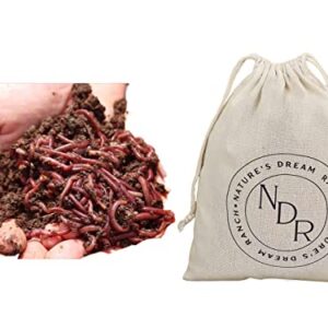 Nature's Dream Ranch 250 ct Live Red Wiggler Composting Worms Vermicomposting Garden Red Wrigglers, Farm Composting, Pet Feed, Kid Experiment