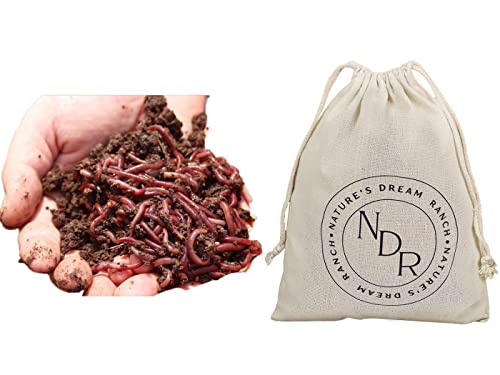 Nature's Dream Ranch 250 ct Live Red Wiggler Composting Worms Vermicomposting Garden Red Wrigglers, Farm Composting, Pet Feed, Kid Experiment