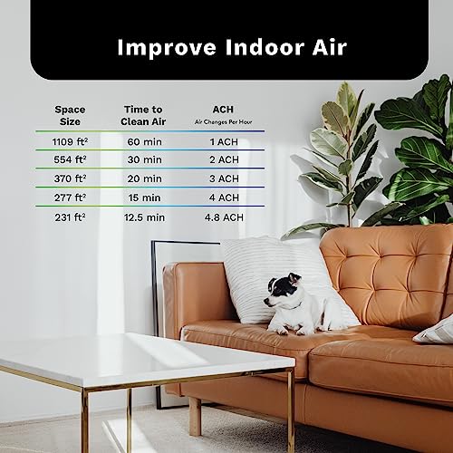 DH Lifelabs | Sciaire Mini + HEPA Air Purifier | Ions Actively Clean & Deodorize Air | Eliminates 99.9% of Bacteria & Viruses | H13 HEPA Purifier Filter for Allergies Pets | Bedroom Home | Grey