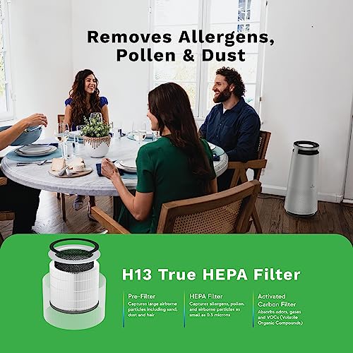 DH Lifelabs | Sciaire Mini + HEPA Air Purifier | Ions Actively Clean & Deodorize Air | Eliminates 99.9% of Bacteria & Viruses | H13 HEPA Purifier Filter for Allergies Pets | Bedroom Home | Grey