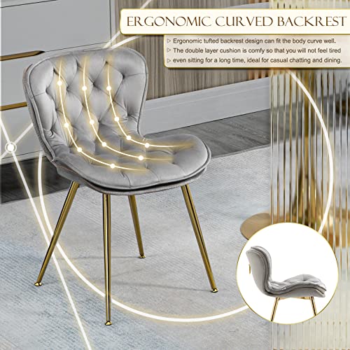 KINFFICT Modern Velvet Dining Chairs Set of 2, Upholstered Kitchen Chair, Mid Century Dinner Chair with Golden Metal Ring, Comfy Accent Chair for Dining Room, Living Room, Vanity Room, Grey