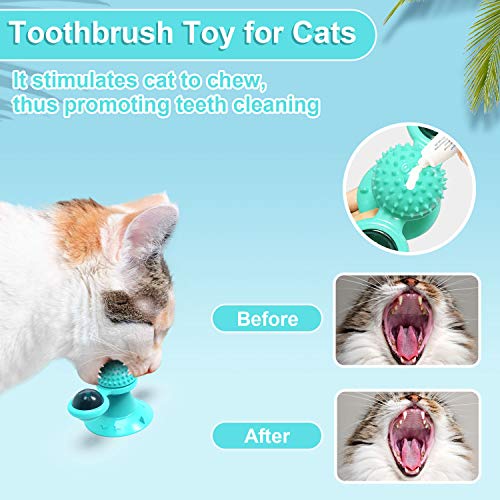 GBSYU Interactive Windmill Cat Toys with Catnip : Cat Toys for Indoor Cats Funny Kitten Toys with LED Light Ball Suction Cup‖Cat Nip Toy for Cat chew Exercise (Blue)