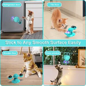 GBSYU Interactive Windmill Cat Toys with Catnip : Cat Toys for Indoor Cats Funny Kitten Toys with LED Light Ball Suction Cup‖Cat Nip Toy for Cat chew Exercise (Blue)
