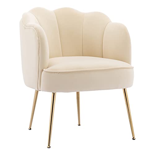 LETESA Modern Velvet Accent Barrel Chairs Shell Shape Chairs Comfy Upholstered Vanity Chairs Dining Chairs with Golden Metal Legs Desk Chair Makeup Chairs for Living Room Bedroom (Cream White)