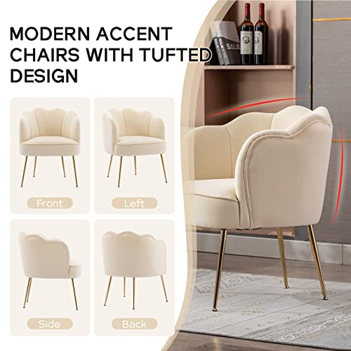 LETESA Modern Velvet Accent Barrel Chairs Shell Shape Chairs Comfy Upholstered Vanity Chairs Dining Chairs with Golden Metal Legs Desk Chair Makeup Chairs for Living Room Bedroom (Cream White)