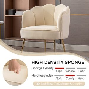 LETESA Modern Velvet Accent Barrel Chairs Shell Shape Chairs Comfy Upholstered Vanity Chairs Dining Chairs with Golden Metal Legs Desk Chair Makeup Chairs for Living Room Bedroom (Cream White)