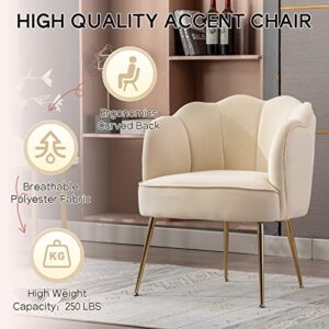 LETESA Modern Velvet Accent Barrel Chairs Shell Shape Chairs Comfy Upholstered Vanity Chairs Dining Chairs with Golden Metal Legs Desk Chair Makeup Chairs for Living Room Bedroom (Cream White)