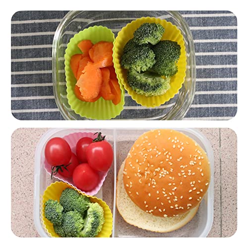 40 Pcs Silicone Lunch Box Dividers, Bento Bundle Lunch Box Dividers for Kids Lunch Accessories，Bento Box Accessories for Kids，reusable.