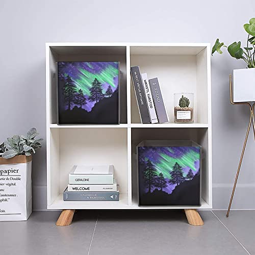 Aurora Pines Painting Storage Bin Foldable Cube Closet Organizer Square Baskets Box with Dual Handles